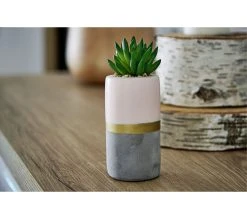 Les meilleures critiques de ⌛ LINEA NATURA Pot cactus en ciment H. 15 cm SEATTLE Nude ❤️ 14 Les meilleures critiques de ⌛ LINEA NATURA Pot cactus en ciment H. 15 cm SEATTLE Nude ❤️ -Linea Natura Soldes Boutique 2099901390950 AMB2