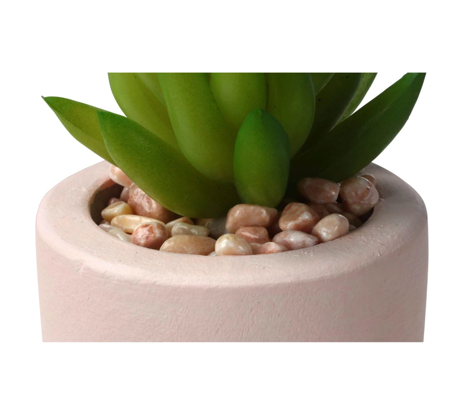 Les meilleures critiques de ⌛ LINEA NATURA Pot cactus en ciment H. 15 cm SEATTLE Nude ❤️ 5 Les meilleures critiques de ⌛ LINEA NATURA Pot cactus en ciment H. 15 cm SEATTLE Nude ❤️ – Image 3