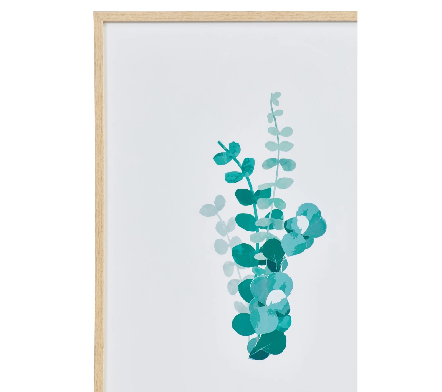 De gros 😉 LINEA NATURA Image 50x70 cm EUCALYPTUS VERT Blanc / Vert / Naturel 💯 7 De gros 😉 LINEA NATURA Image 50x70 cm EUCALYPTUS VERT Blanc / Vert / Naturel 💯 – Image 5