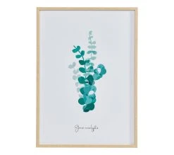 De gros 😉 LINEA NATURA Image 50x70 cm EUCALYPTUS VERT Blanc / Vert / Naturel 💯 16 De gros 😉 LINEA NATURA Image 50x70 cm EUCALYPTUS VERT Blanc / Vert / Naturel 💯 -Linea Natura Soldes Boutique 3446035938074 F