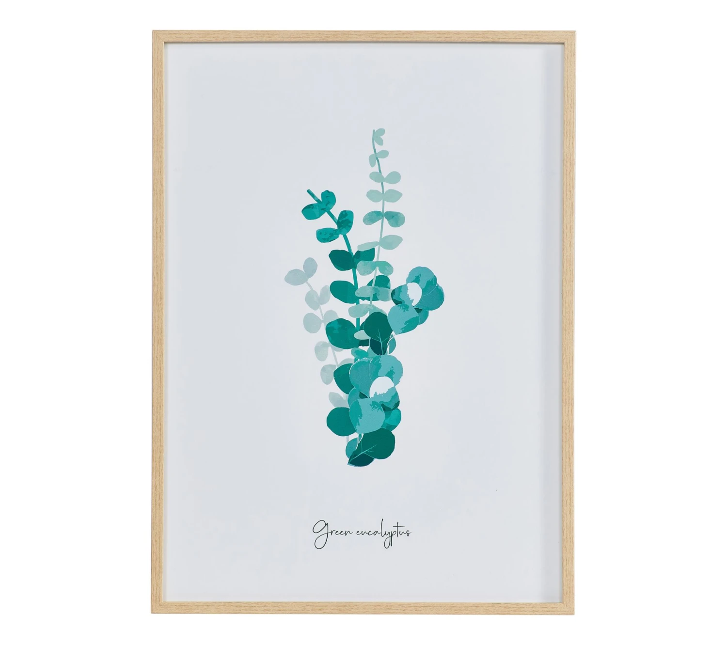 De gros 😉 LINEA NATURA Image 50x70 cm EUCALYPTUS VERT Blanc / Vert / Naturel 💯 4 De gros 😉 LINEA NATURA Image 50x70 cm EUCALYPTUS VERT Blanc / Vert / Naturel 💯 – Image 2